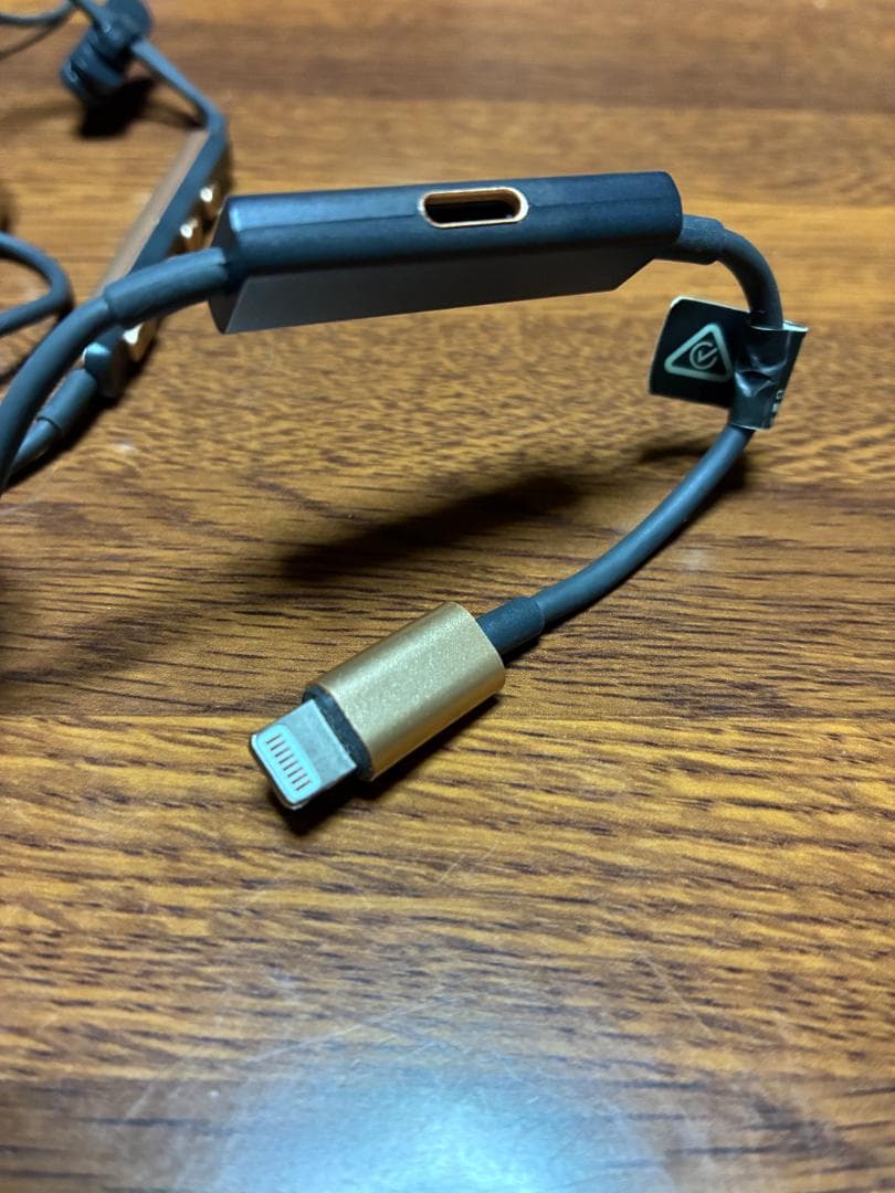 Pioneer RAYZ PLUS 有線イヤホン