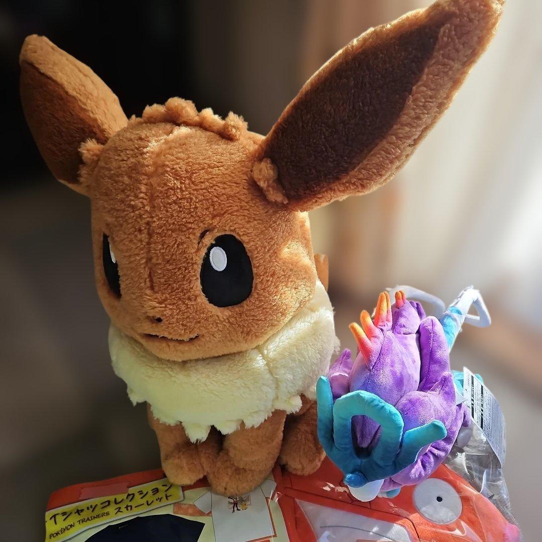 ポケモン ピカピカBOX 2026 ポケセンオンライン当選購入品