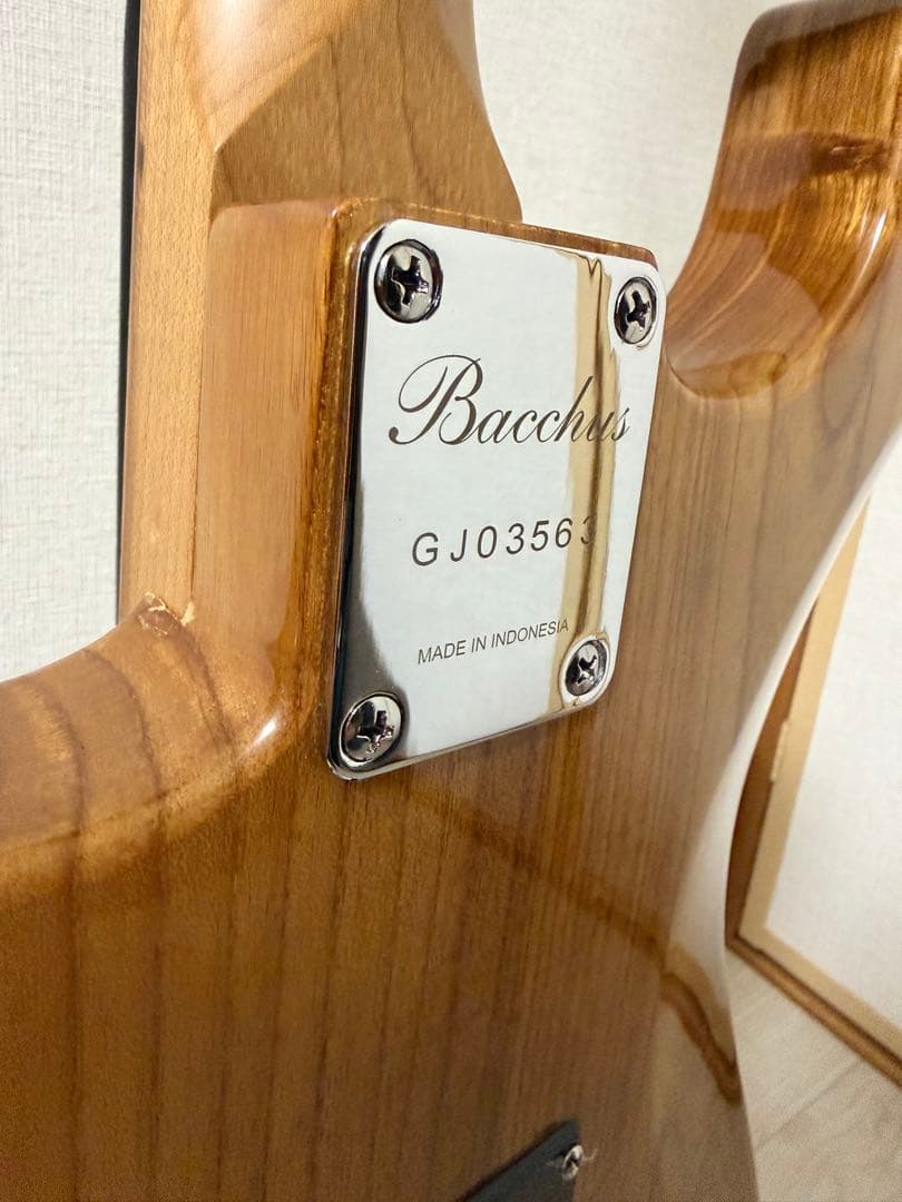 【ほぼ新品】 Bacchus BSH-ASH25 WRS/M