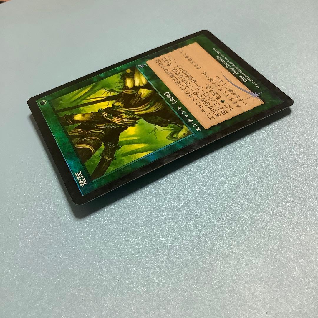 繁茂/Wild Growth  7ED日本語foil