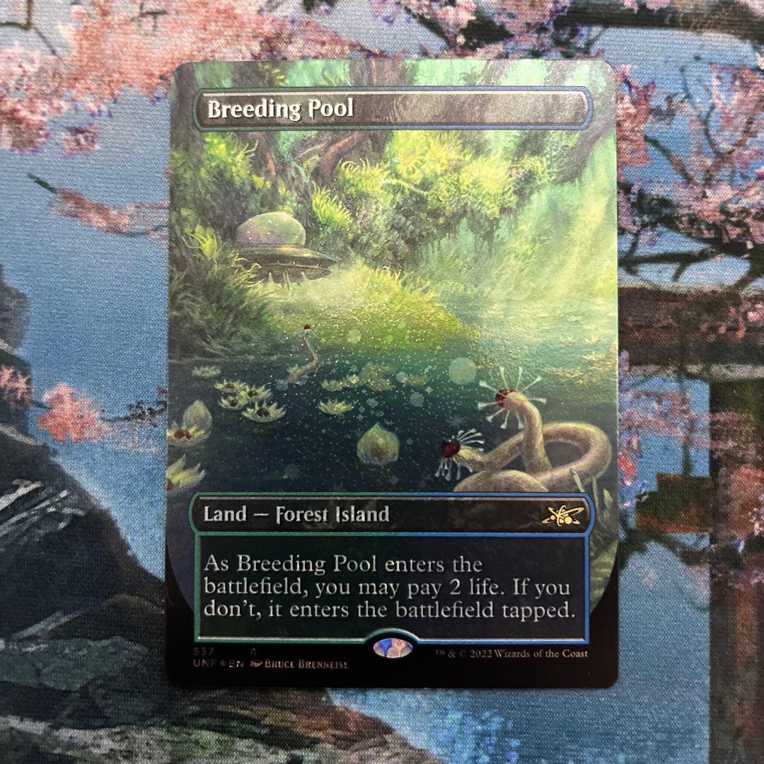 MTG 繫殖池 ギャラクシー foil