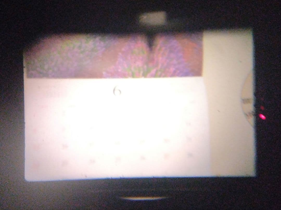 【実写確認済】PENTAX MX + XR RIKENON 50mm F2