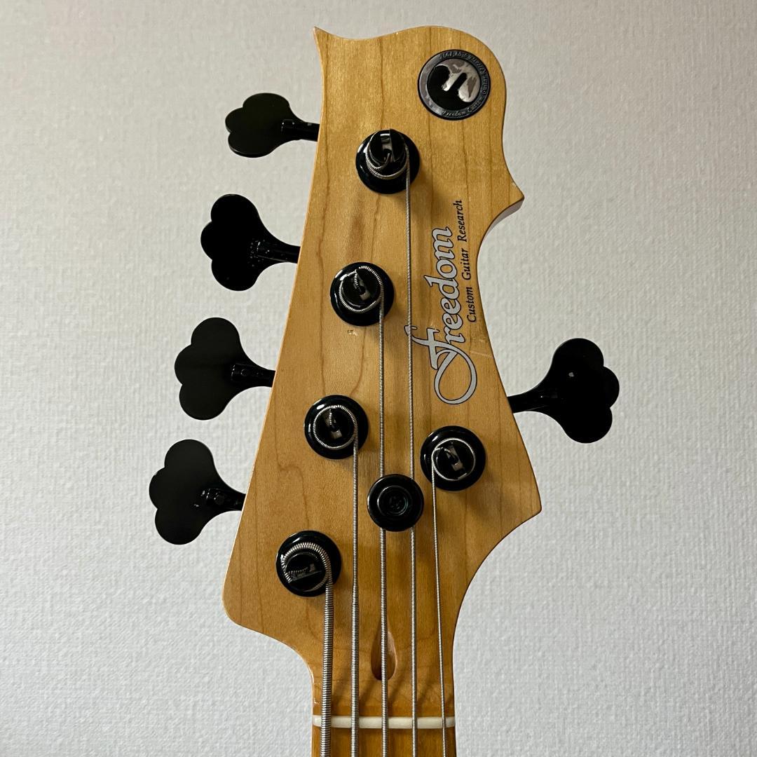 ベース Freedom Custom Guitar Research Rhino 5st