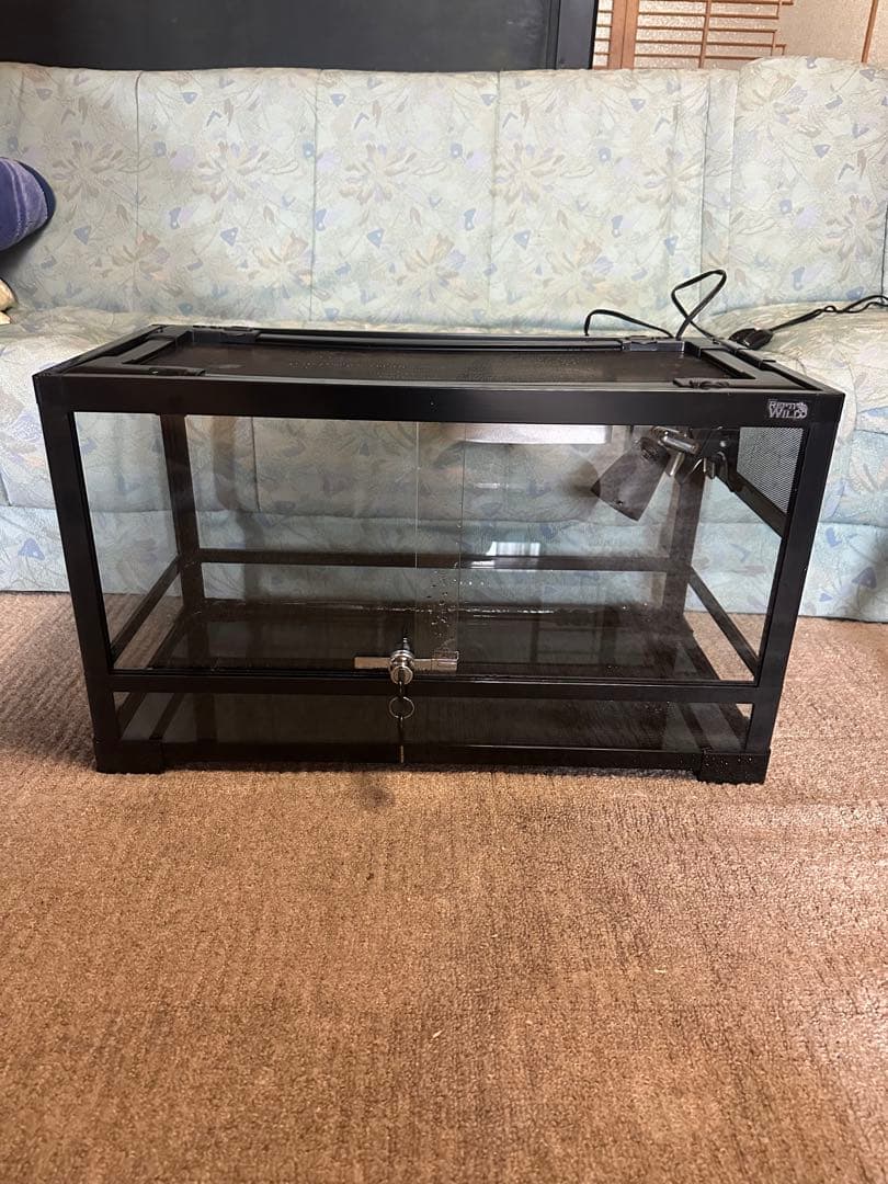 おしりかじり虫　6035+4535