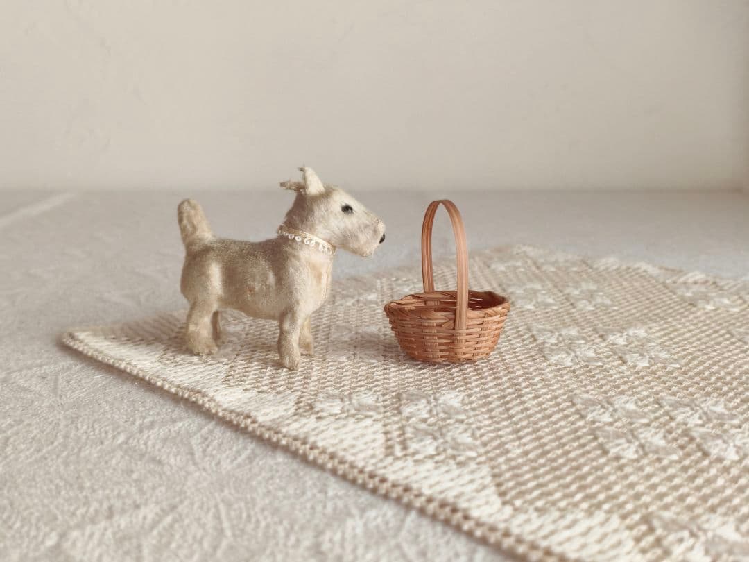 * vintage teria ❀ 遊ぶのが大好きな テリアさん