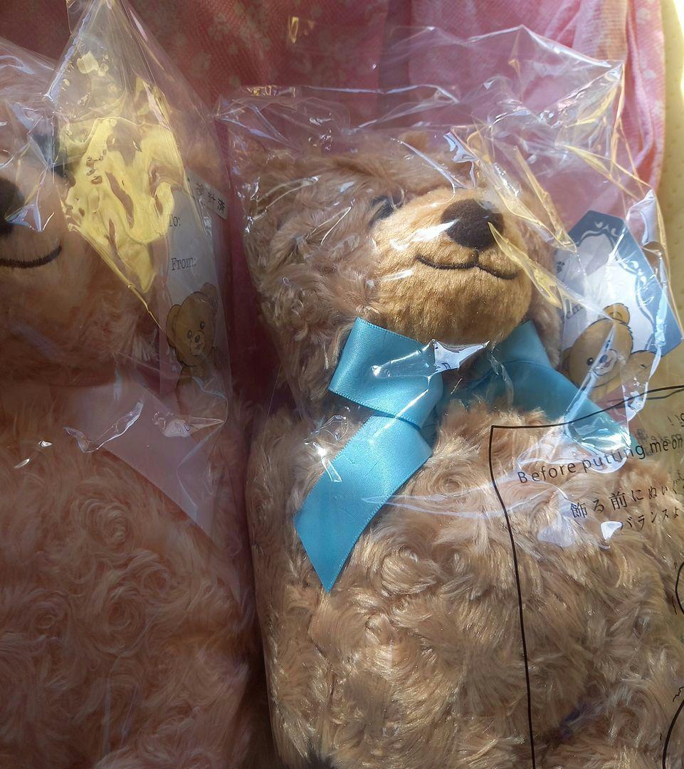 ハニーテディベア★ファミリー★ベビー、ガール、ボーイぬいぐるみ&バックパック