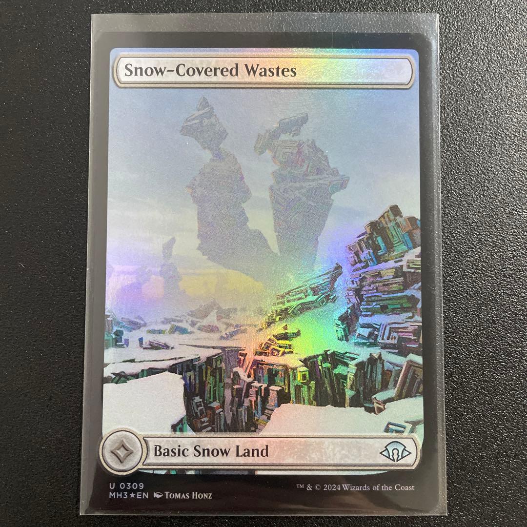 m10006 MH3 309 foil 英語　冠雪の荒地　フルアート