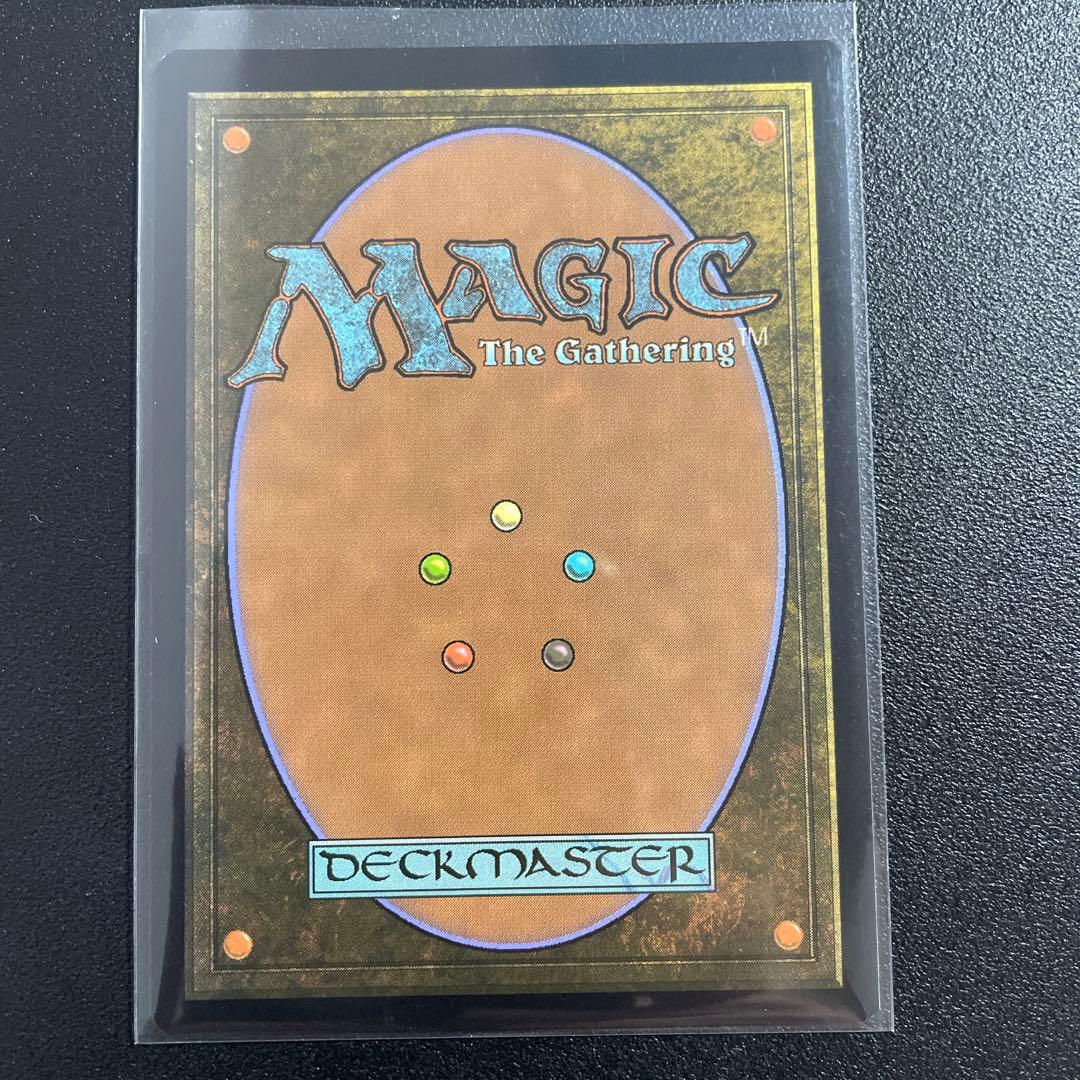 m10006 MH3 309 foil 英語　冠雪の荒地　フルアート