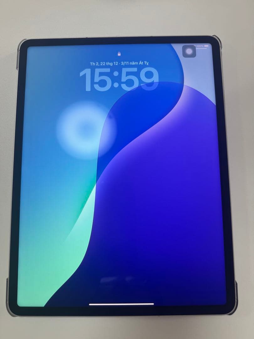 iPad Pro 第6世代 12.9インチ SIMフリー128Gbおまけ2個付き