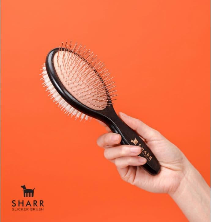 SHARR ブラシ【即日発送】