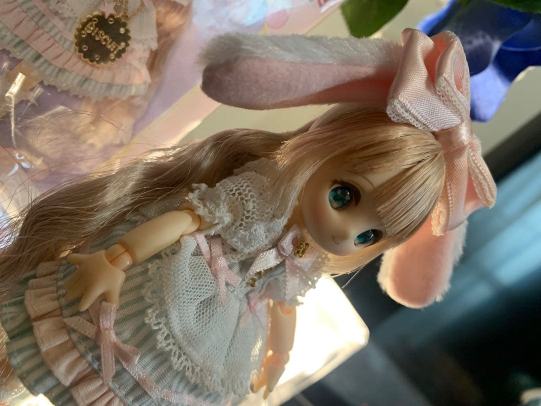 シュガーカップス ビスケティーナ アゾンダイレクトストア限定販売