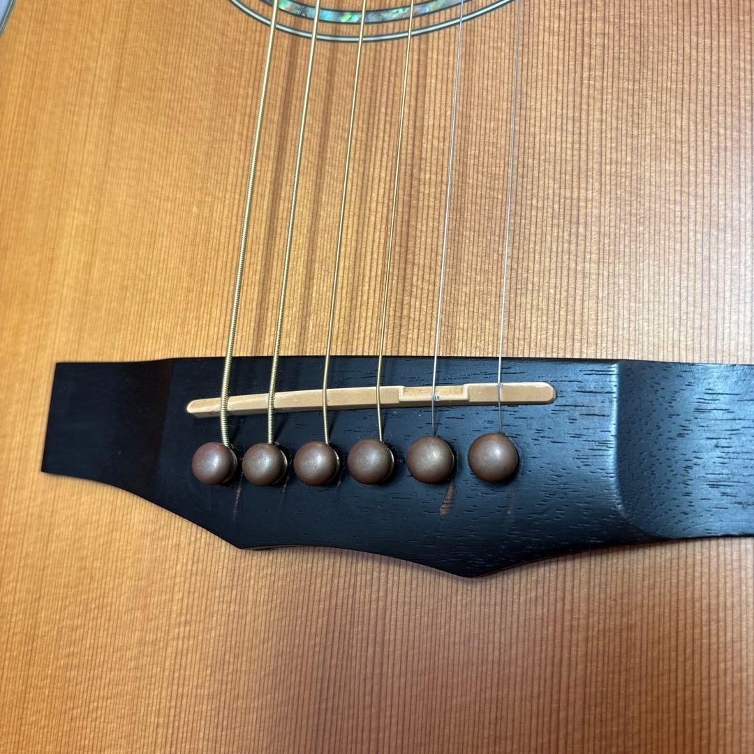 Morris S-60 アコースティックギター