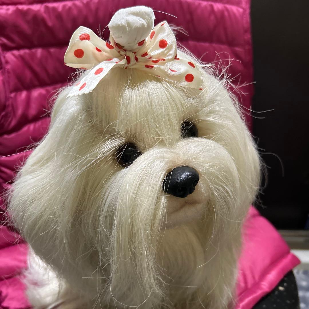 ドレッシーペット　ぬいぐるみ　犬　マルチーズ　タグ付き❣️