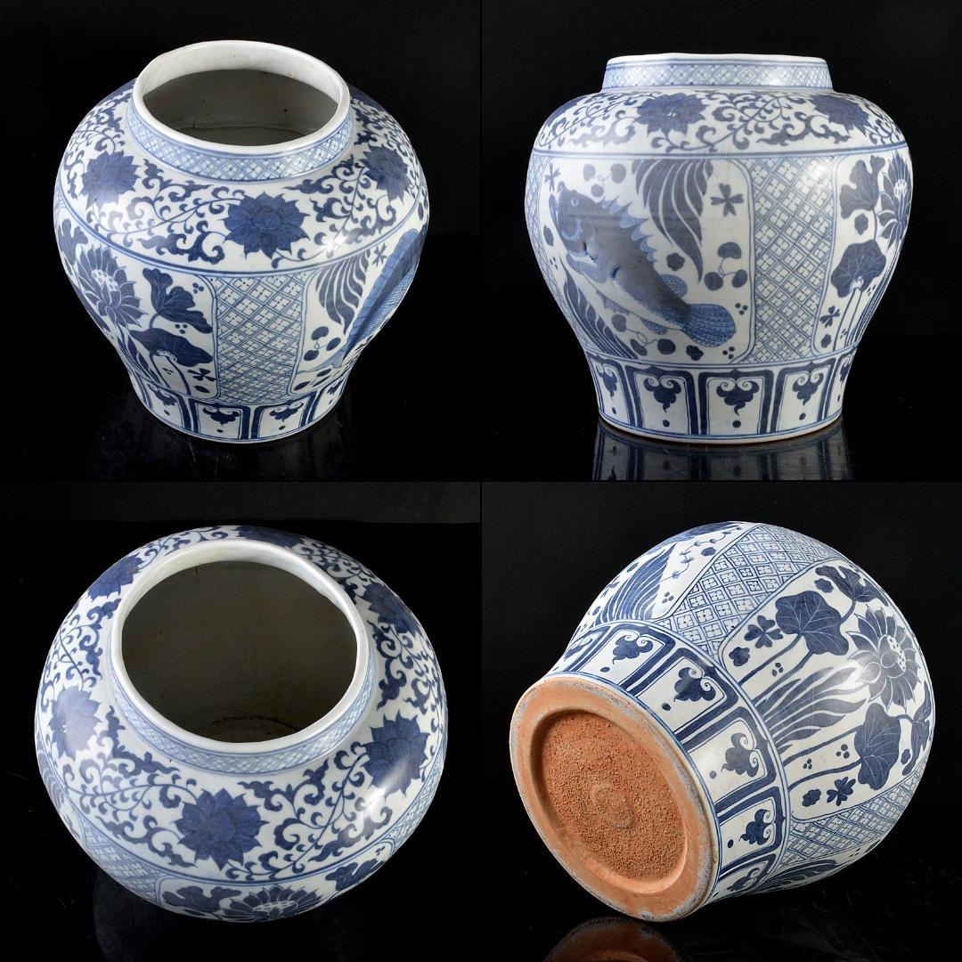 中国　青花　花卉魚藻文瓶　壷　C　R5596C