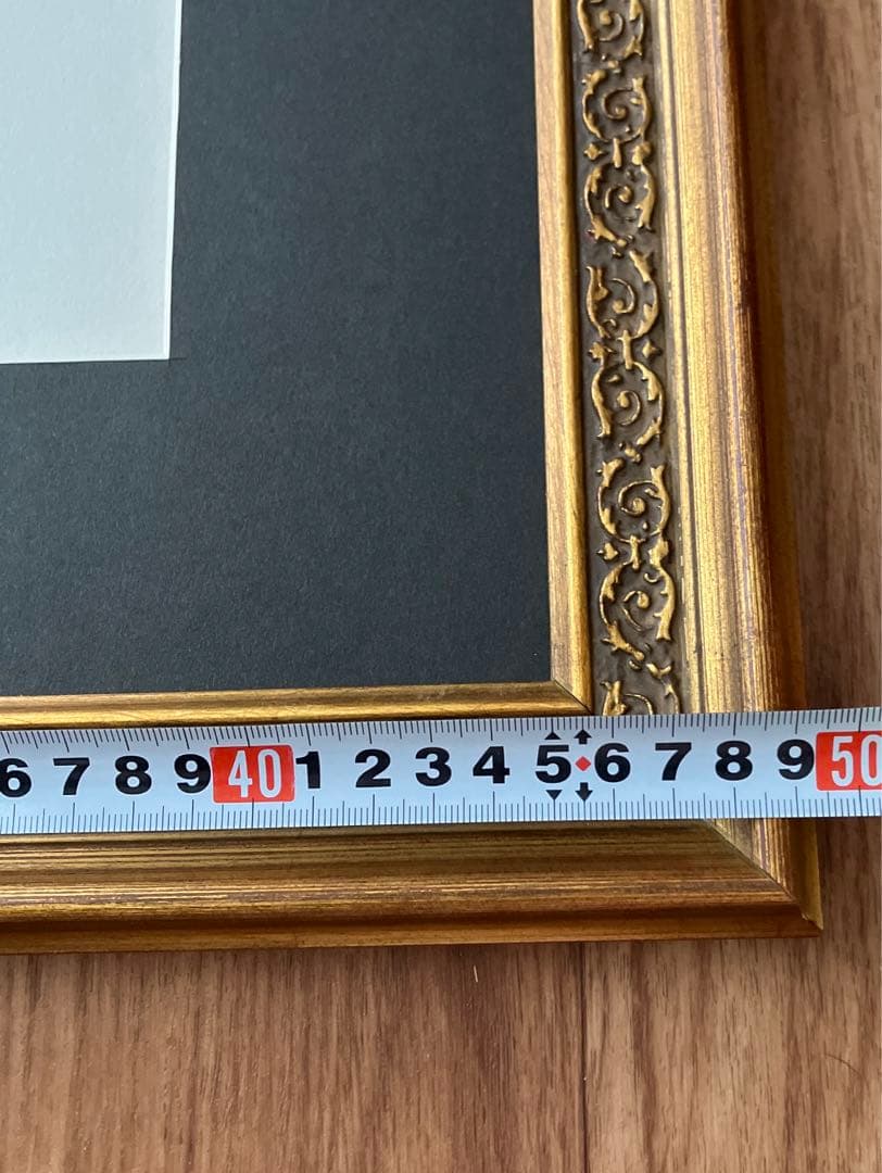 Jakob Demus ダイヤモンドドライポイント技法エッチング　ボタニカル画