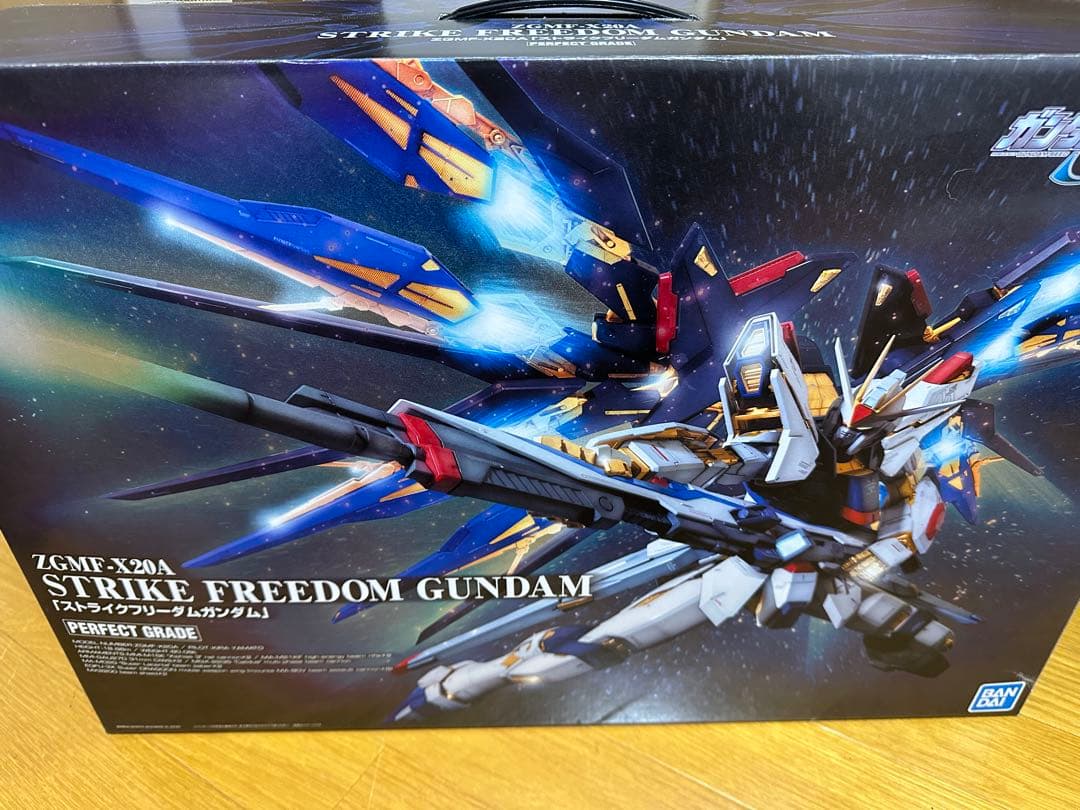 ストライクフリーダムガンダム PG