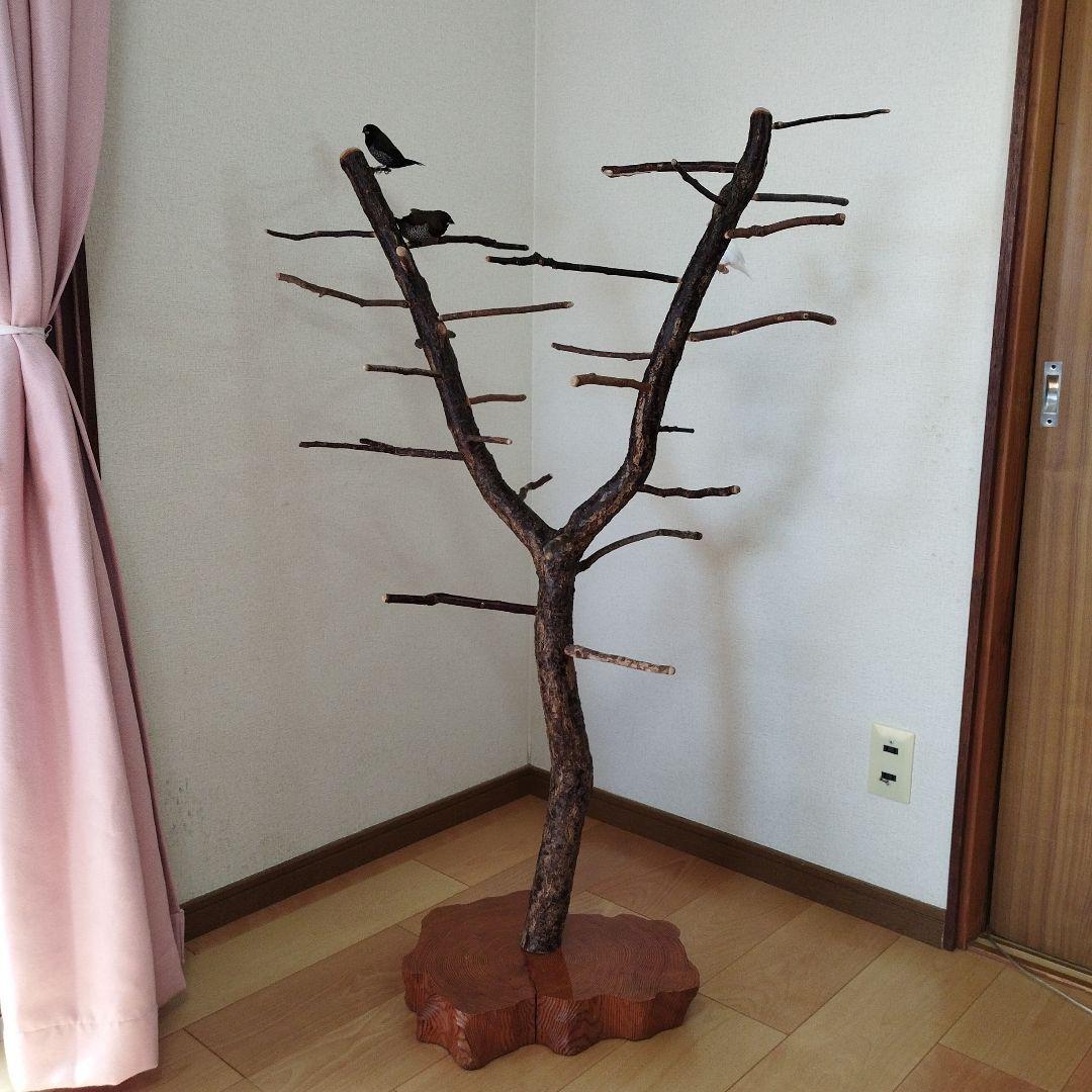 【フィンチ用】梅と桜のフィンチTree バードスタンド