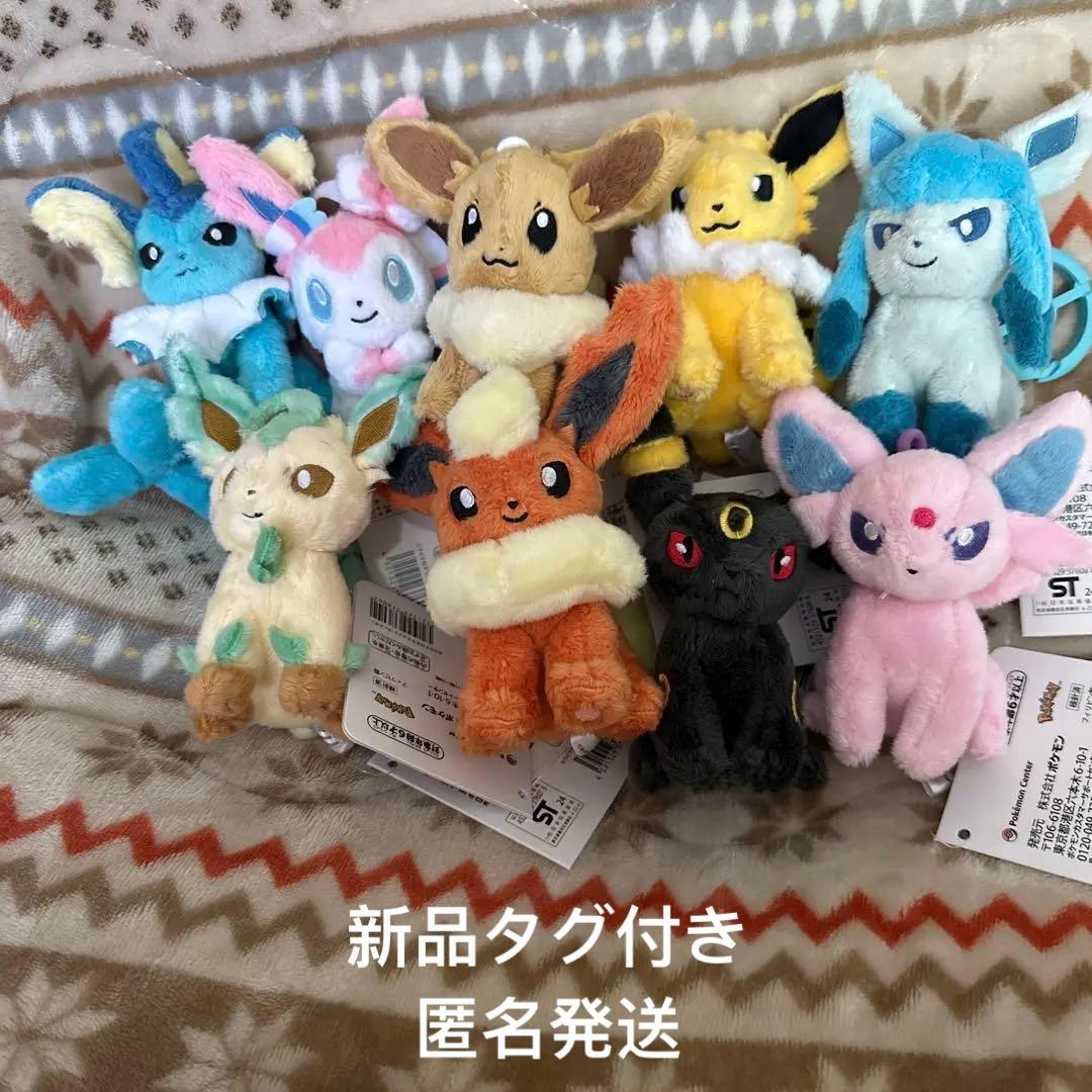 タグ付き ポケモンセンター カラビナ付きマスコット ぬいぐるみ ブイズセット