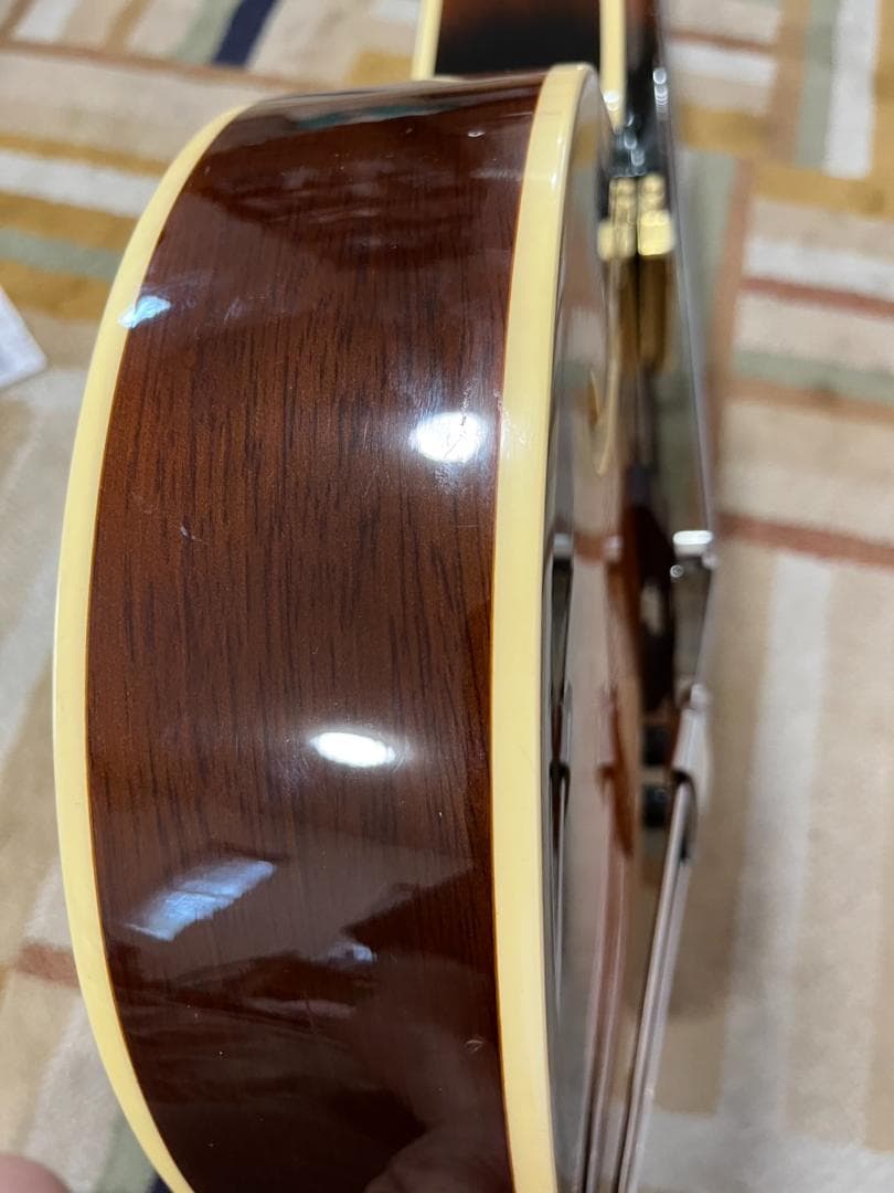 ARIA FA-50GE アーチトップ・ギター（PUモデル）