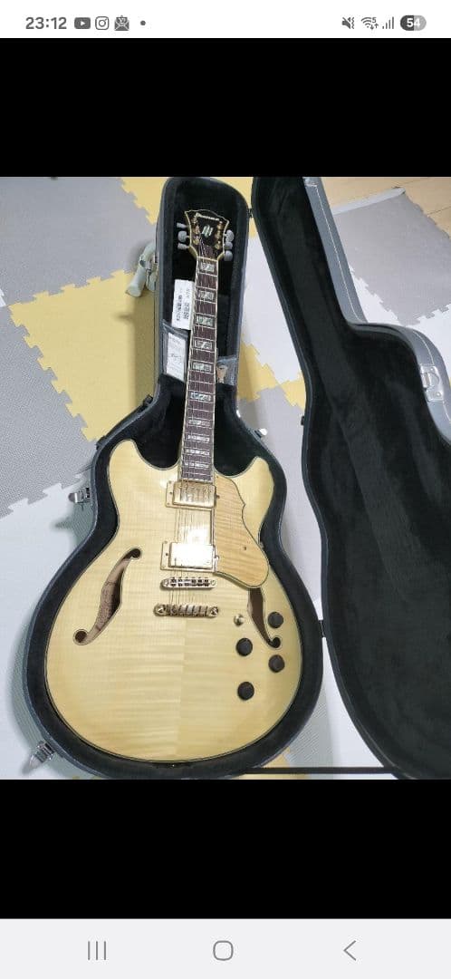 ナチュラル セミアコ アイバニーズ アイバニーズ