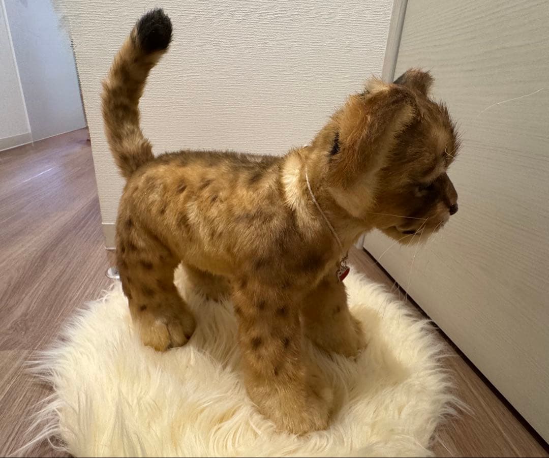 海外作家様作　アートドール　ライオンの子供