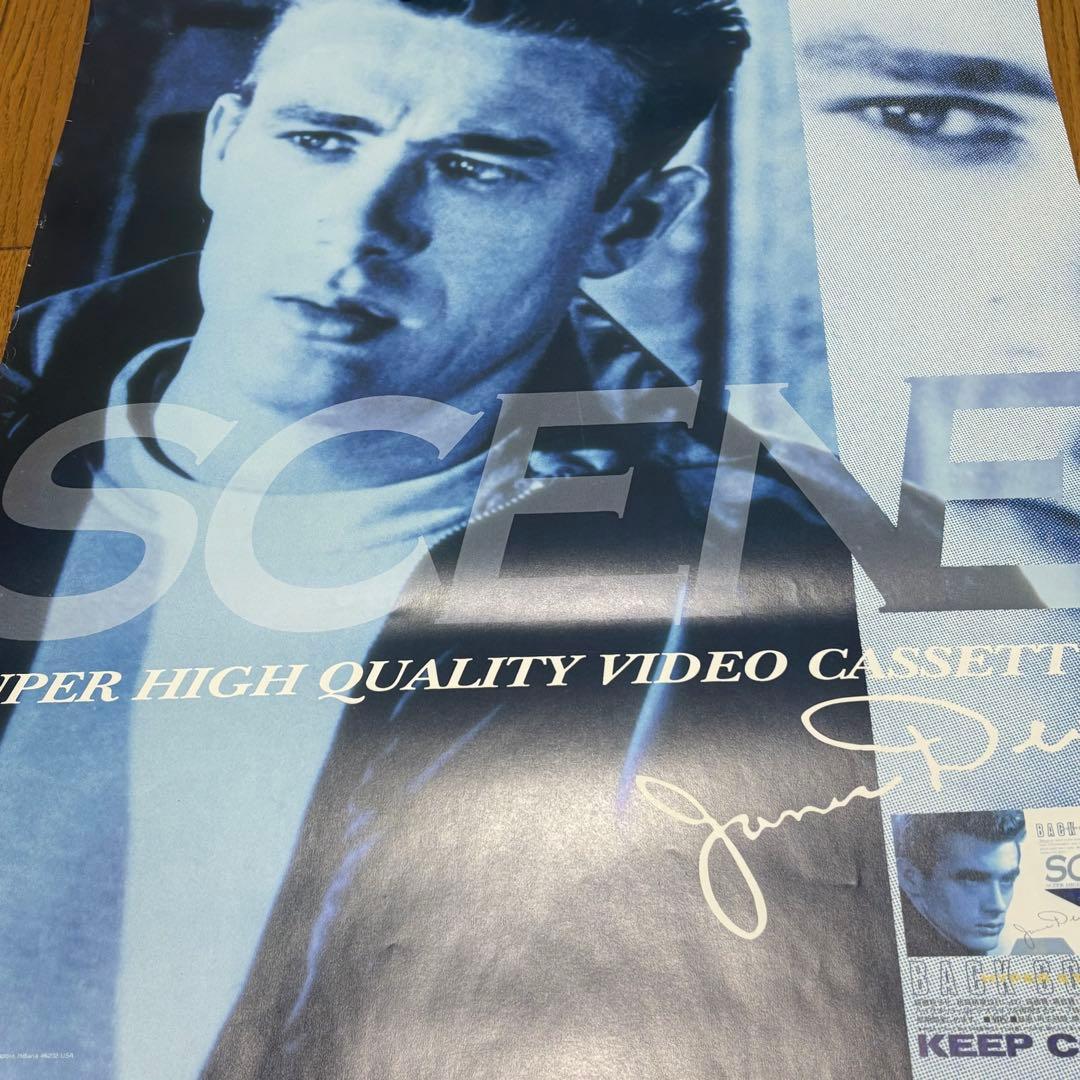 SCENEビデオカセットポスター　ジェームズディーン　販促用　非売品