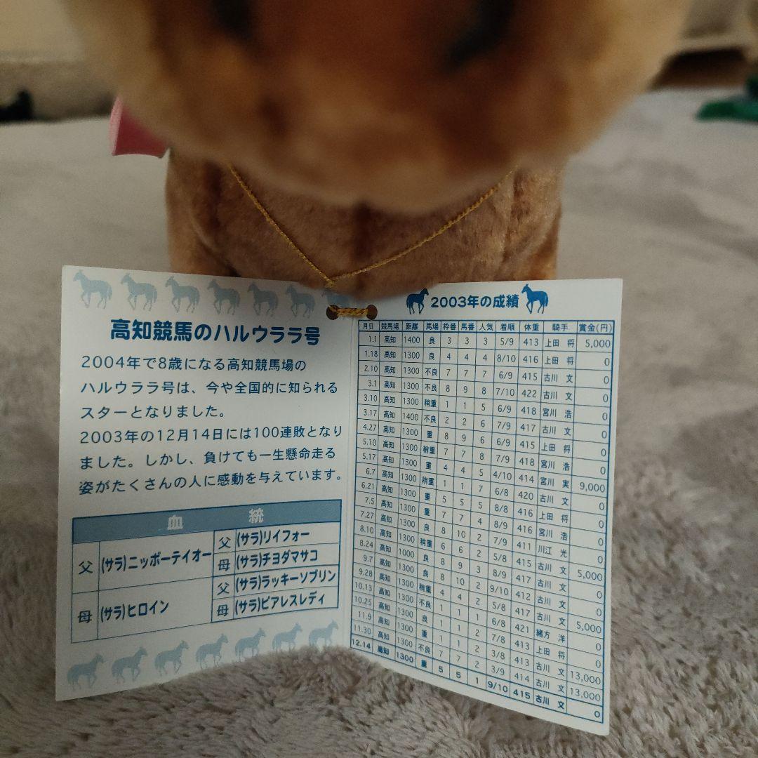 ハルウララ　ぬいぐるみ　高知競馬ハルウララ6号　競走馬　競馬