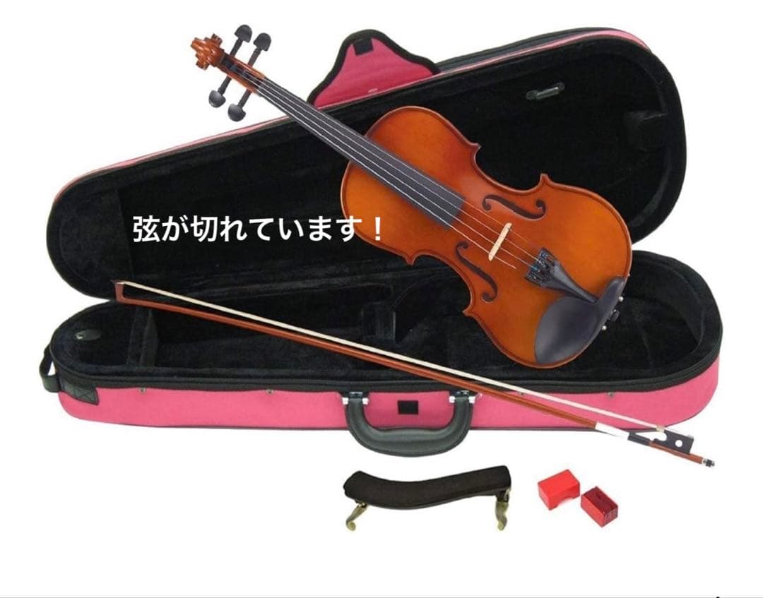 カルロジョルダーノ バイオリンセット VS-1C 4/4 ピンクケース