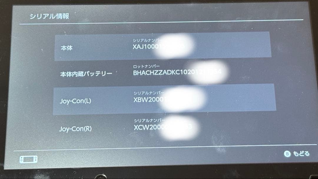 ニンテンドースイッチ Nintendo Switch 本体と周辺機器 美品