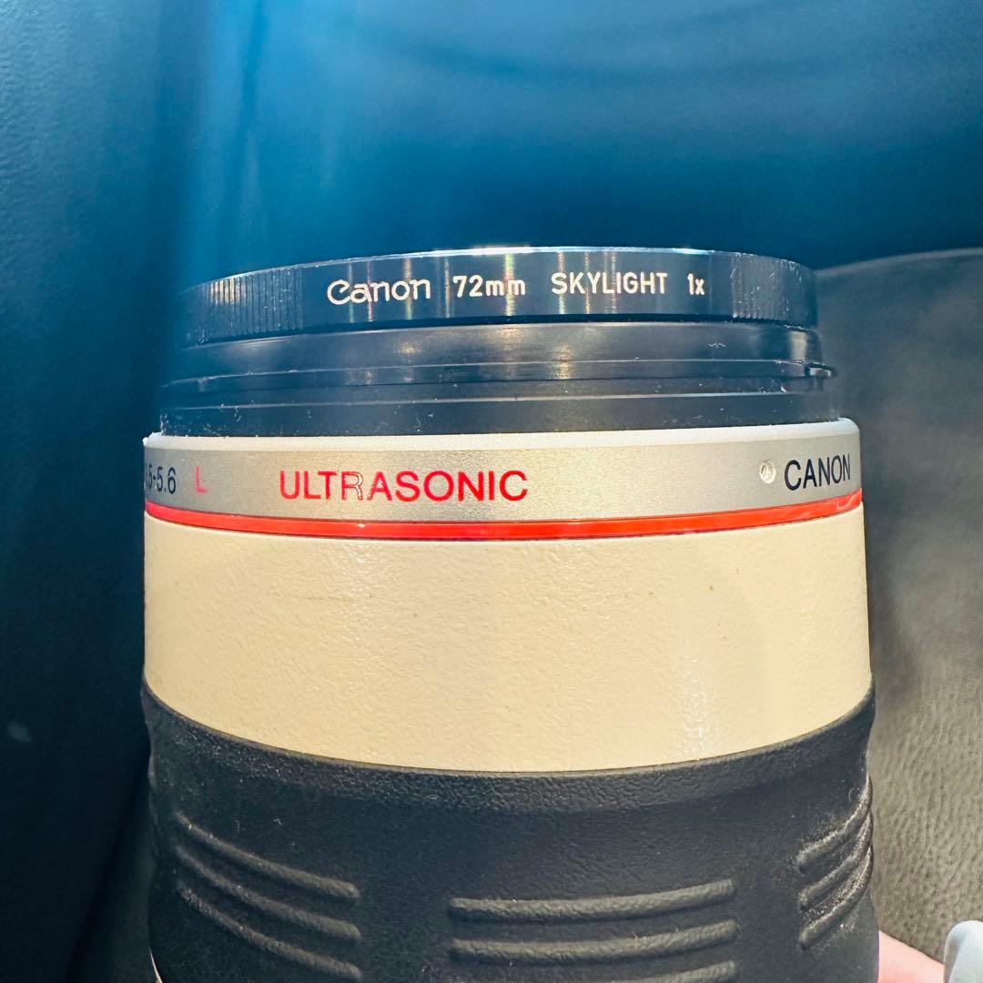 ⭐️美品USED Canon EF 35-350mm ズームレンズ⭐️エクステンダー