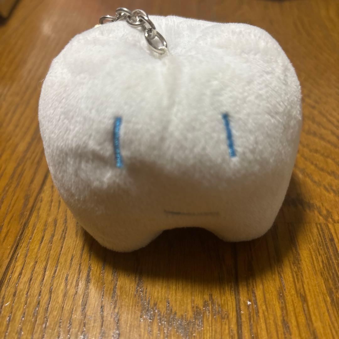 こんにちは！はちゃんです