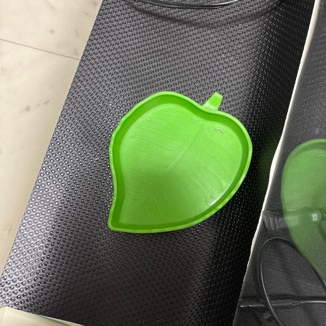 ガラス製飼育ケージ ヒーターランプ付き　爬虫類　飼育セット　リクガメ