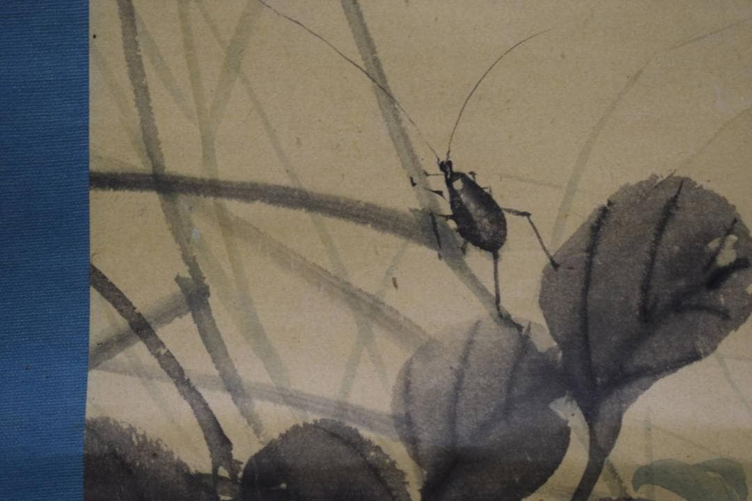 真作/羽田桂舟/秋月葛花図/桐共箱付/布袋屋掛軸HH-306