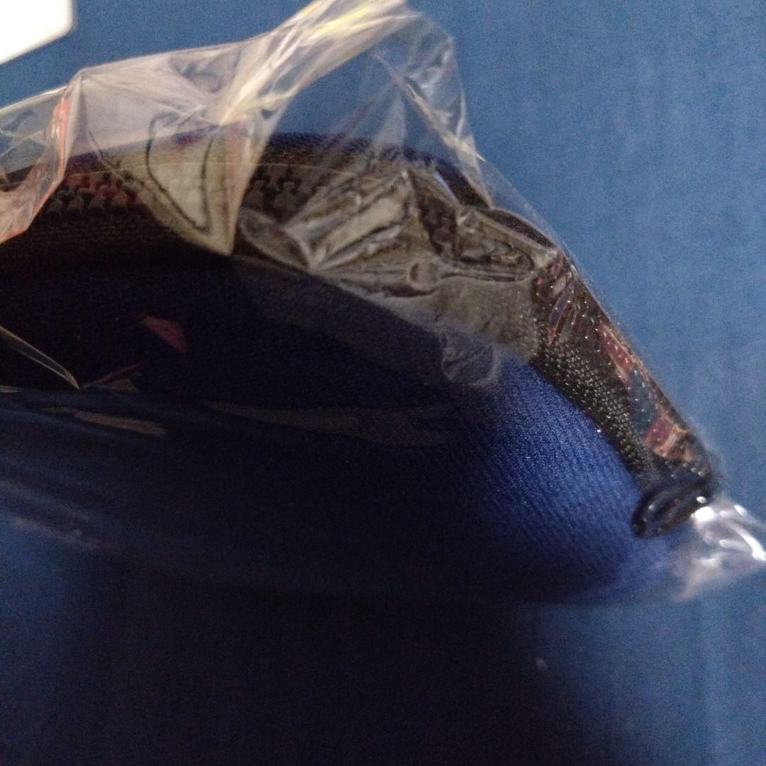 ポケモン　ポーチ　ジラーチ　カード　カクレオン　タマタマ　ドータクン　限定品