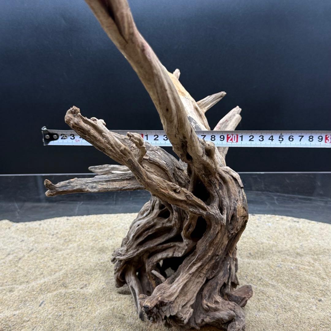 MSRW-6958 特大天然流木1点物　スリムウッド　アクアリウム