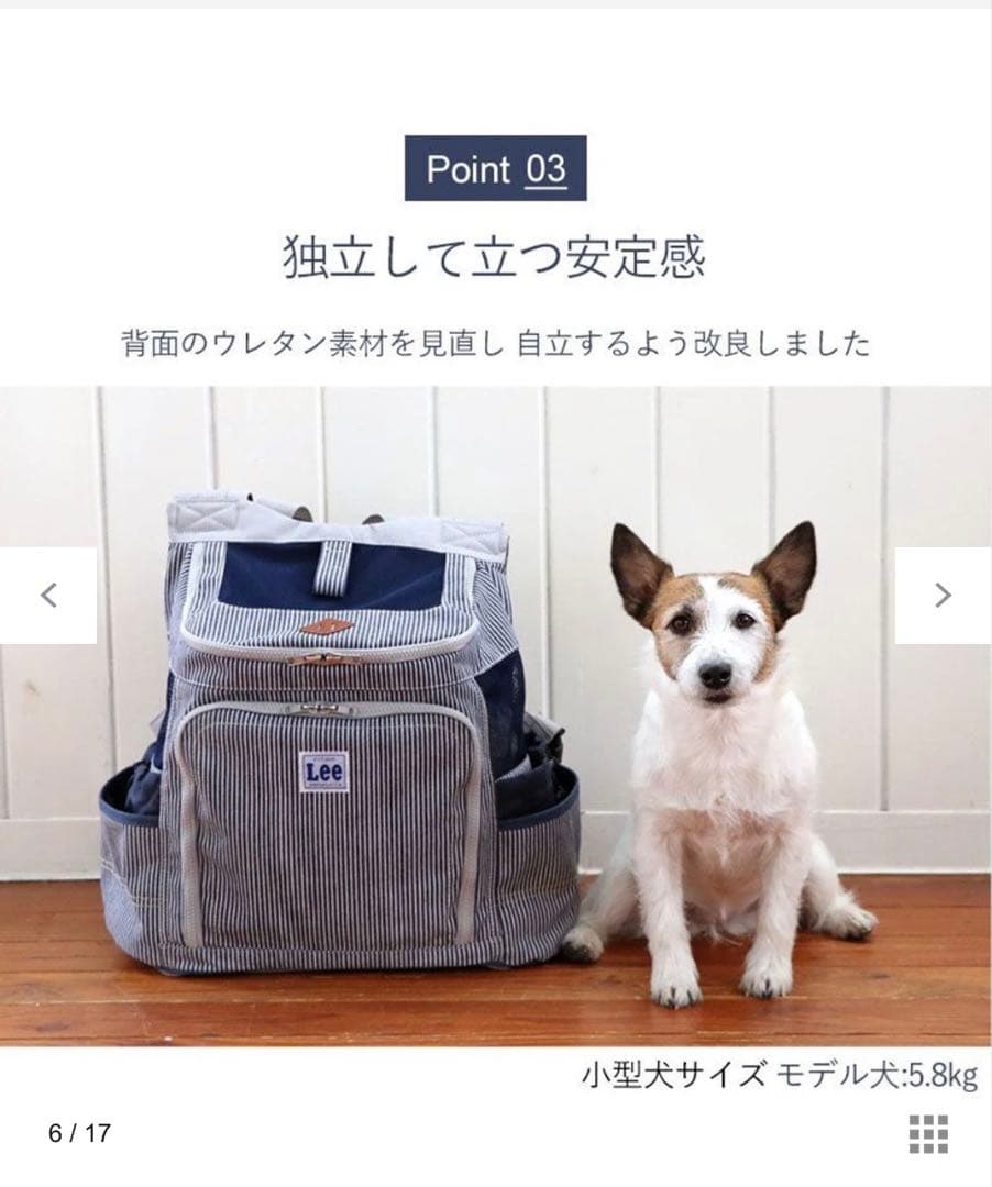 Lee ストライプ キャリーバッグ　【美品】