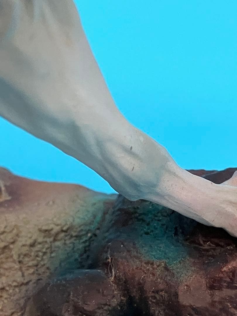 犬神＆サン もののけ姫 フィギュア ジブリ 宮崎駿