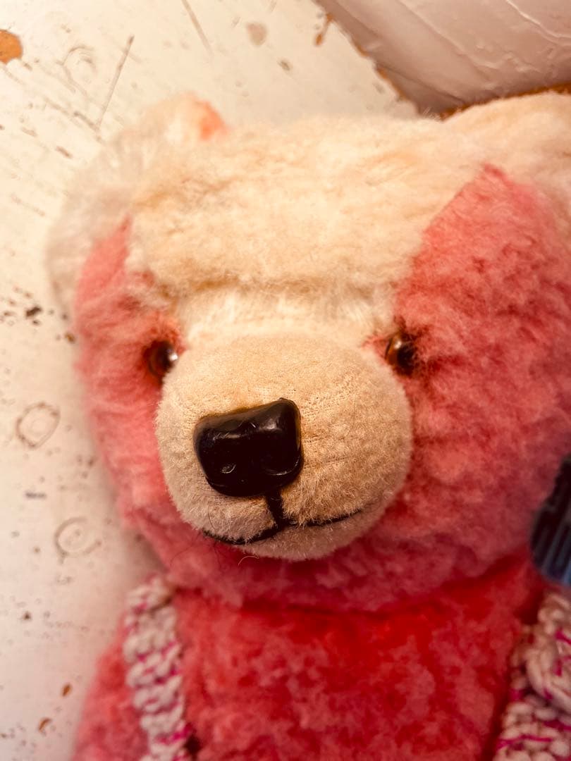 ‥∵ ドイツ　ヴィンテージベア　 レアカラー アンティークベア ‥‥