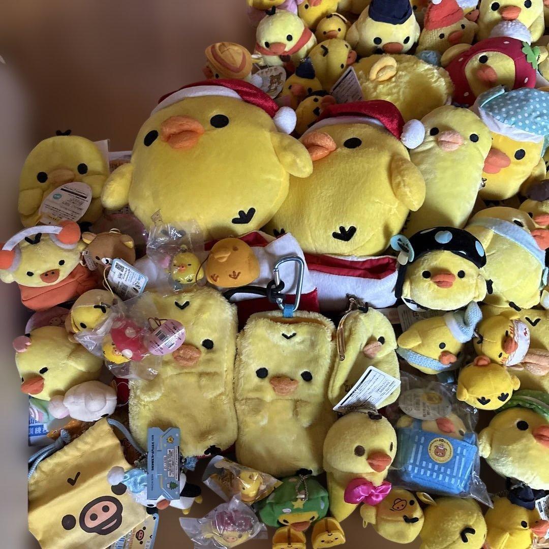 キイロイトリまとめ売り