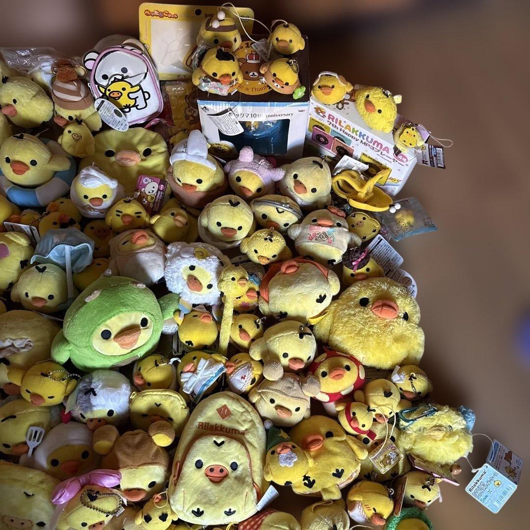 キイロイトリまとめ売り