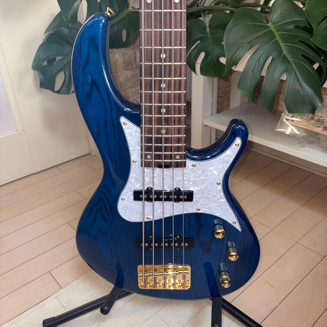❤️AriaProII RSB-42AR 5弦ベース 美品 チューナーおまけ