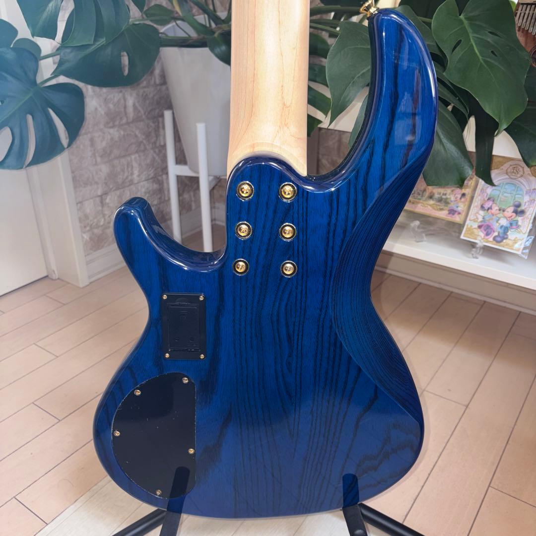 ❤️AriaProII RSB-42AR 5弦ベース 美品 チューナーおまけ