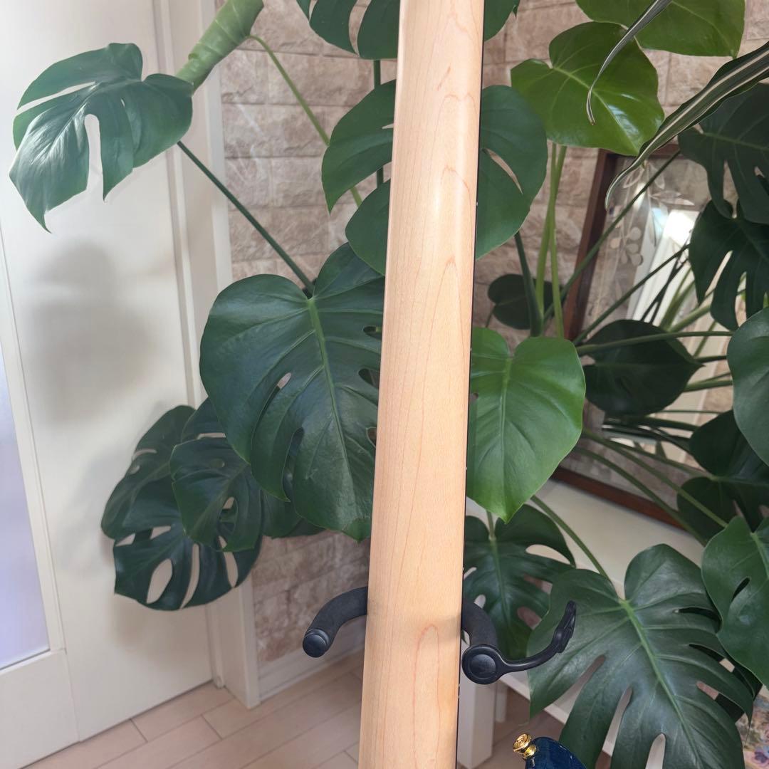 ❤️AriaProII RSB-42AR 5弦ベース 美品 チューナーおまけ