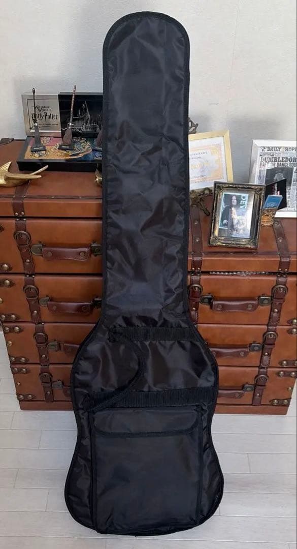 ❤️AriaProII RSB-42AR 5弦ベース 美品 チューナーおまけ