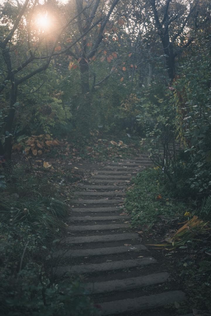 希少！全周ニッケル Elmar 50mm F3.5 オールドレンズ