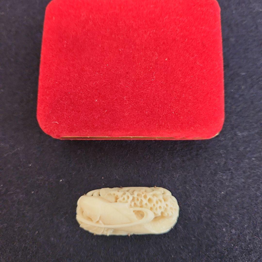 帯留め‥白珊瑚