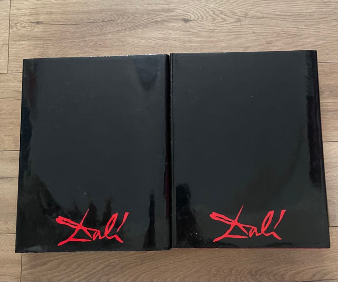 DALÍ The Paintings ダリ 画集全2巻