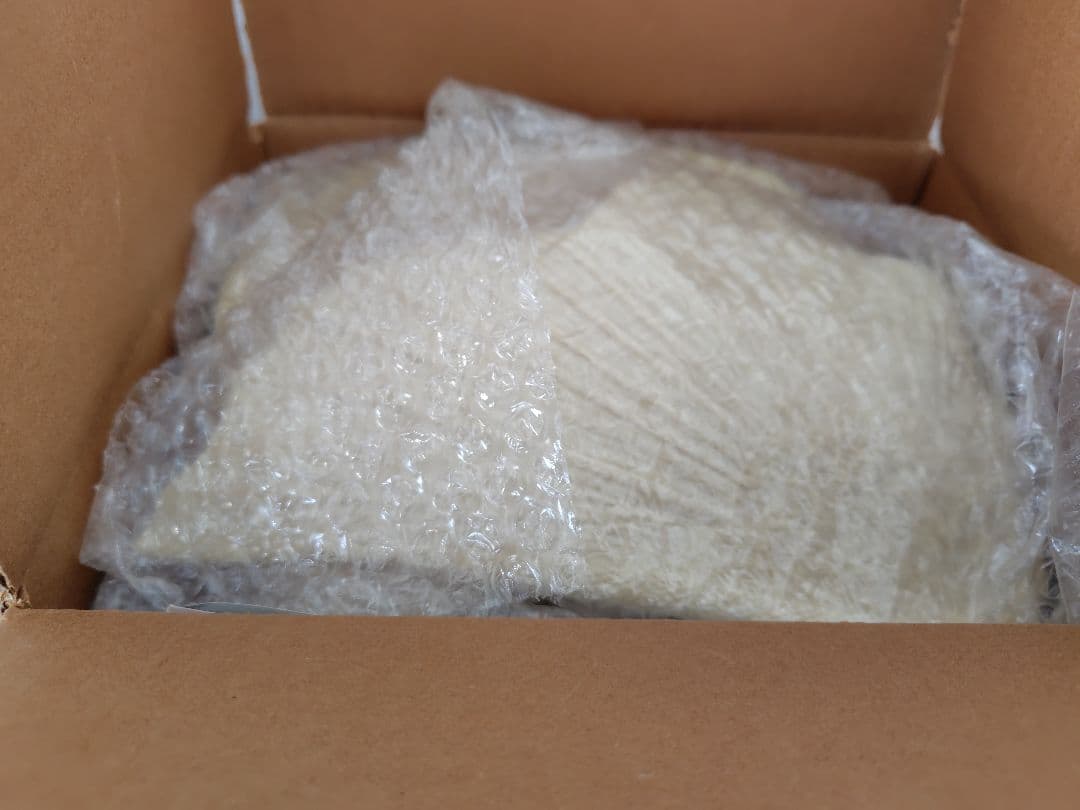 大巨獣ガッパ レジンシェフとうけけ団 レジンキット 原型ビル グドムンドソン