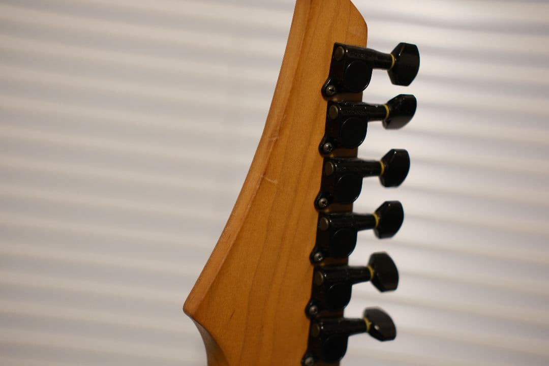 エレキギター 　Fernandes FGZ