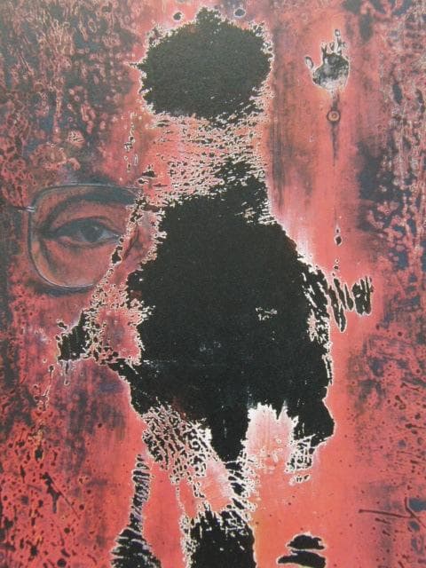 星野真吾、【我果】、希少な額装用画集より、新品額装付、状態良好